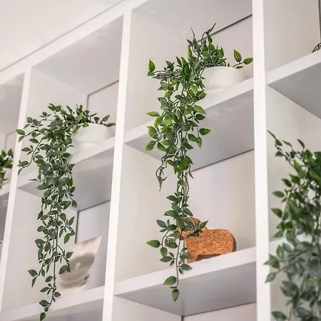 Ab - Via Santo Stefano 74 Ferienhaus *