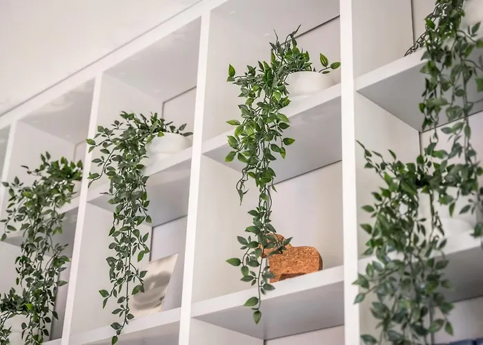 Ab - Via Santo Stefano 74 Vakantiehuis *