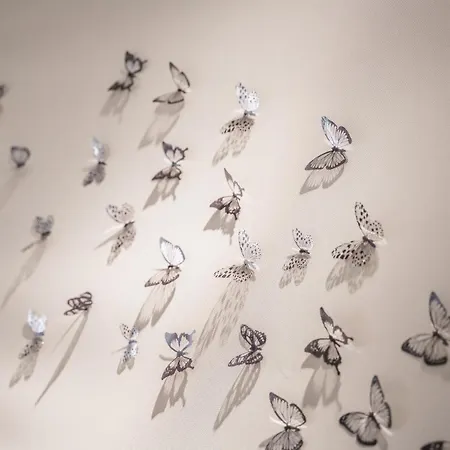 Ab - Via Santo Stefano 74 *